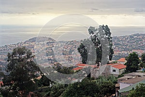 Aerial view over Funchal city on Madeira