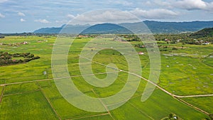 Aerial view over green lush paddy field at the sunset valley Langkawi, Malaysia. Blue sky with white clouds on the horizon.