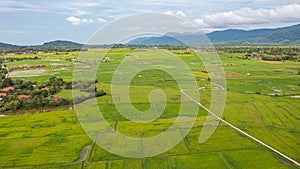 Aerial view over green lush paddy field at the sunset valley Langkawi, Malaysia. Blue sky with white clouds on the horizon.