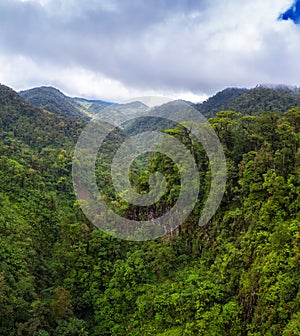 Aerial view over Juan Castro Blanco National Park in Costa Rica photo