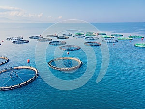 Aerial view over large fish farm with lots of fish enclosures
