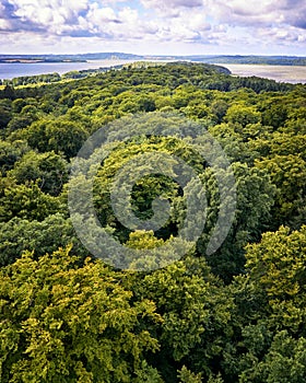 Aerial view over the trees in the forest with a view of the Baltic Sea on the horizon. RÃ¼gen