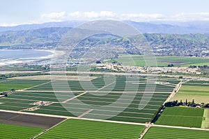 Aerial view of Oxnard farm fields in spring with Ventura City and Pacific Ocean in background, Ventura County, CA