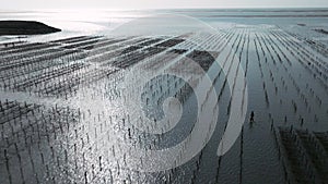 Aerial view of Oyster field and farm in Taiwan