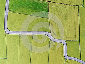 Aerial View of Paddy Field from Dongshan Township, Yilan, Taiwan.