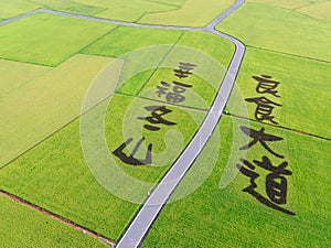 Aerial View of Paddy Field from Dongshan Township, Yilan, Taiwan. Translation: `Good food avenue, happiness Dongshan.`