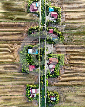 Aerial view of paddy field after ploughed.