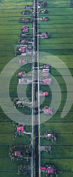 Aerial View Of Paddy Fields Surrounded By Buildings, Malaysia