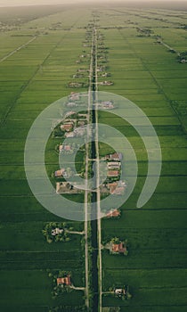 Aerial View Of Paddy Fields Surrounded By Buildings, Malaysia