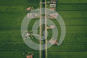 Aerial View Of Paddy Fields Surrounded By Buildings, Malaysia