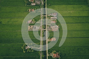 Aerial View Of Paddy Fields Surrounded By Buildings, Malaysia