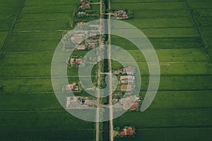 Aerial View Of Paddy Fields Surrounded By Buildings, Malaysia