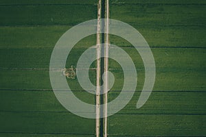 Aerial View Of Paddy Fields Surrounded By Buildings, Malaysia