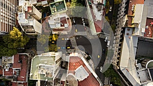 Aerial view of the Palermo district in Buenos Aires, Argentina, main street with autumn trees, colourful cars passing by, differen
