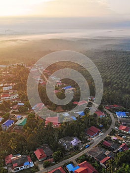 Aerial view of palm oil plantation