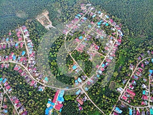 Aerial view of palm oil village