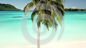 Aerial view of a palm tree on a beautiful white sand beach with crystal clear blue water