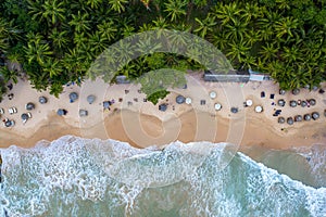 Aerial view of palm trees, Indian Oken coastline and bungalows. Island Sri Lanka.