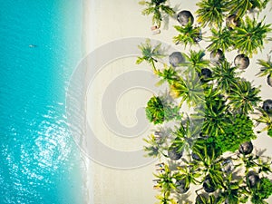 Aerial view of palm trees, umbrellas on the sandy beach, blue sea