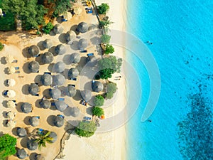 Aerial view of palm trees, umbrellas on the sandy beach, blue sea