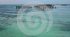 Aerial view of palms at the beach, Maldives