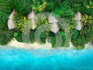 Aerial view of palms, bungalows, sandy beach, sea with waves