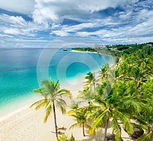 Aerial view of palms, sandy beach of Indian Ocean at sunset