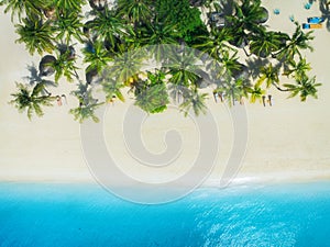 Aerial view of palms, umbrellas on empty sandy beach, blue sea