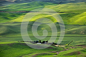 Aerial view of Palouse landscape from Steptoe butte