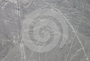 Aerial View of the Palpa Hummingbird Nazca Lines