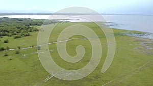 Aerial View Panorama Above Lake Manyara National Park at Evening. The Concervation Area in Tanzania Near Mto wa Mbu