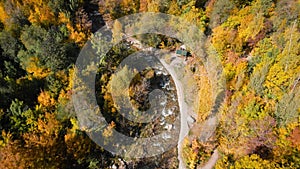Aerial view panorama of yellow autumn forest in Almaty
