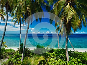 Aerial view of paradise Maldives tropical beach with coconut palms on island. Summer and travel vacation concept