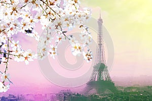 Aerial view of Paris cityscape with Eiffel tower at pink sunset . Vintage colored picture