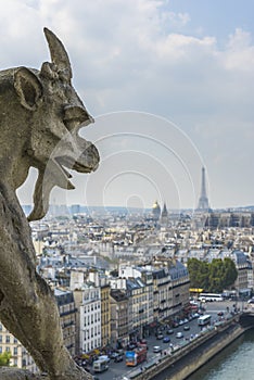 Aerial View of Paris from Notre-dame