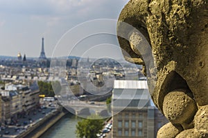 Aerial View of Paris from Notre-dame