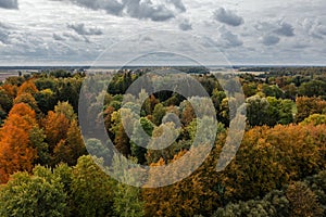 Aerial view of park, Radviliskis region in Lithuania in autumn