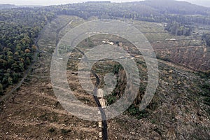 Aerial view of the partially deforested part in the forest