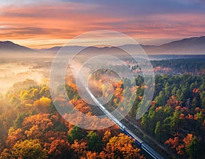 Aerial view of passenger train in autumn forest in fog at sunset