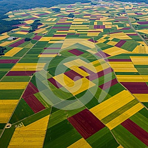 Aerial view of patchwork farmland features rectangular fields in green, yellow, and photo