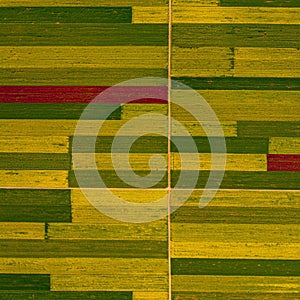 Aerial view of patchwork farmland with rectangular fields in varying shades of green photo