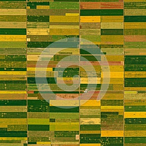 Aerial view of patchwork farmlands composed of rectangular fields in varying shades photo