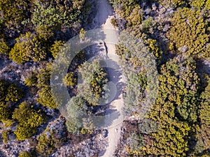 Aerial view of the path of customs officers, vegetation and Mediterranean bush, Corsica, France. Sentier du Douanier photo