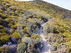 Aerial view of the path of customs officers, vegetation and Mediterranean bush, Corsica, France. Sentier du Douanier