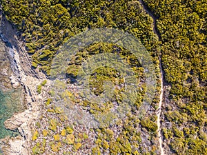 Aerial view of the path of customs officers, vegetation and Mediterranean bush, Corsica, France. Sentier du Douanier