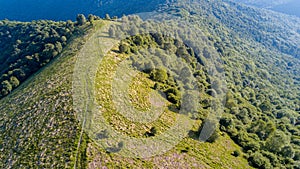 Aerial view of a path leading to Monte Boletto, Alps, near Lake Como. Como, Brunate, Lombardy, Italy