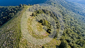 Aerial view of a path leading to Monte Boletto, Alps, near Lake Como. Como, Brunate, Lombardy, Italy