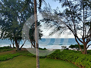 Aerial view of path leading to Waimanalo Beach on Oahu, Hawaii