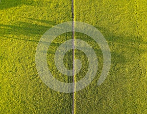 Aerial view of a pathway through a bright and lush green field in a rural countryside setting