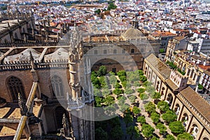 Aerial view of Patio de los Naranjos (Orange Tree Courtyard) in Seville Cathedral - Seville, Andalusia, Spain photo